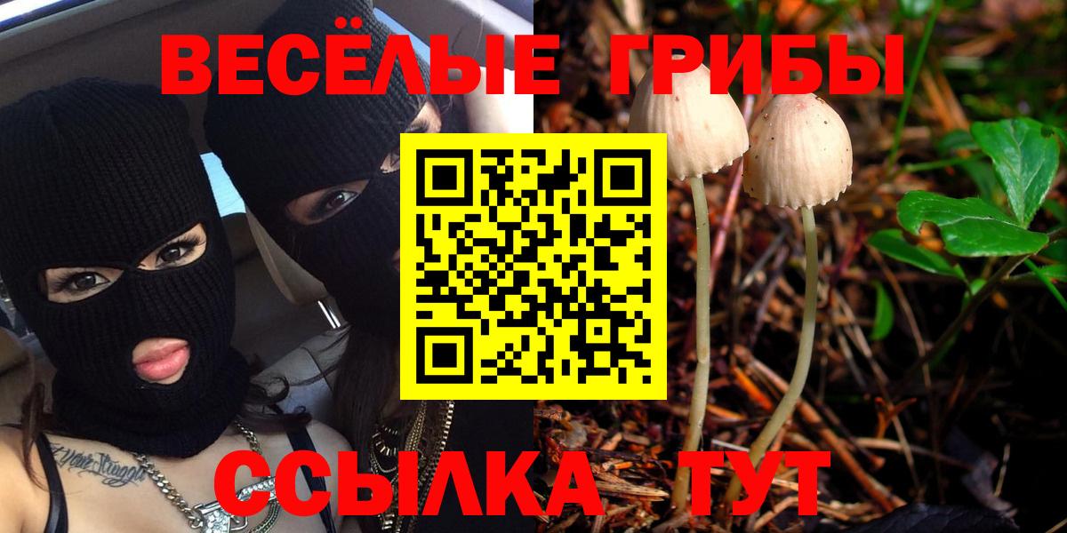 Красногорск  Псилоцибиновые грибы Cubensis  как найти закладки  Вход с VPN 